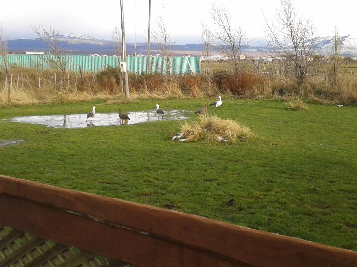 Cabanas Y Casa Kauken Puerto Natales Exteriör bild